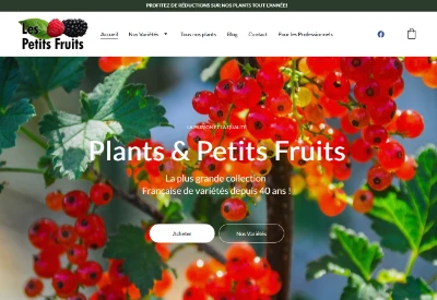 Les Petits Fruits