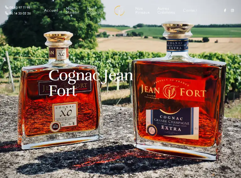 création de site web, référencement internet (SEO) sur Angoulême, Cognac, Libourne, Saintes, Royan et la Nouvelle Aquitaine.